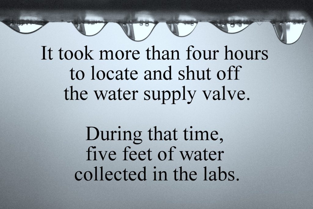 Water Damage Prevention, Water Damage, Hospital Water Damage Prevention, Insurence Water Damage, Hospital Flood, Hospital Flooding, How to Prevent Hospital Flooding, Hospital Flooding Prevention, drawing management system, engineering drawing management system, DCM Inc.’s echo drawing management system, drawing management reporting tool, contractors drawing system, contractors reporting tool, Drawing system reporting too, generate reports, how to generate reports for your blueprints, blueprint management system, engineering blueprint management system, reporting tool, echo reporting tool, drawing, management software, engineering drawing management software, building maintenance drawing management, facility drawing archives management, organize engineering drawing archives, pdf to autocad, create master cad plans, scan drawing into autocad, DCM Inc, DCM reviews, DCM Canada, DCM North America, DCM drawing system, DCM reporting tool, DCM Inc Drawing Management Conversion,